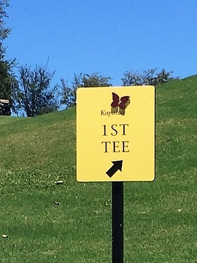 #13 tee#2