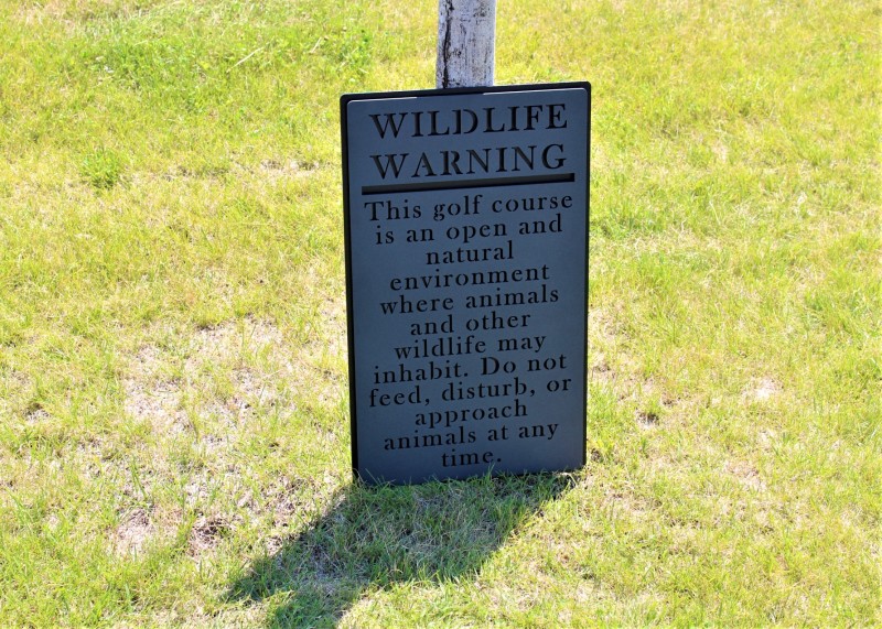 Golf Course Directional Signage -TPC Colorado