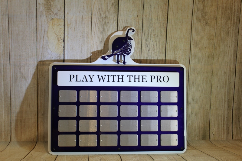 Play-with-the-Pro-Plaque