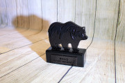 Bear Trophy -Toscana