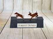 Deer-Trophy-Forest-Dunes-1