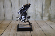 Osprey Award -Ferris University 2