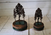 Pine Canyon Tree Trophies