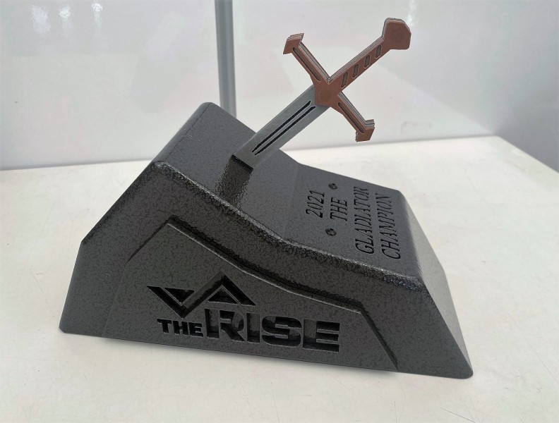 Sword-Award-2-THE-RISE