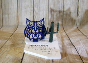 THE-UNIVERSITY-OF-ARIZONA-WILDCAT-AWARD