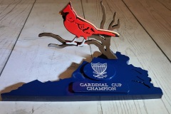 Cardinal-Cup-Washington-GCC