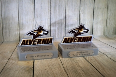 Golf Tournament Prizes -Alvernia University