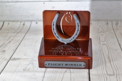 Horseshoe Trophy -Whirlwind