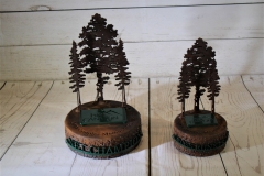 Pine Canyon Tree Trophies