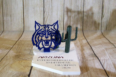 THE-UNIVERSITY-OF-ARIZONA-WILDCAT-AWARD