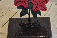 Wild-Flower-Award-Bronze-BUffalos