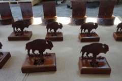 herd-of-buffalo-trophies-