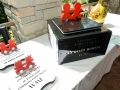 Trophies -children's hospital awards