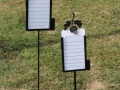 Proximity Markers -Blue Jack National