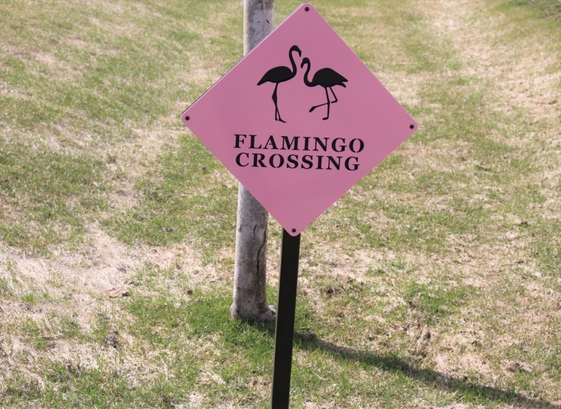 Directional Signs -Flamingo Crossing -Club at Colony Creek