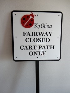 Golf Course Directional Sign