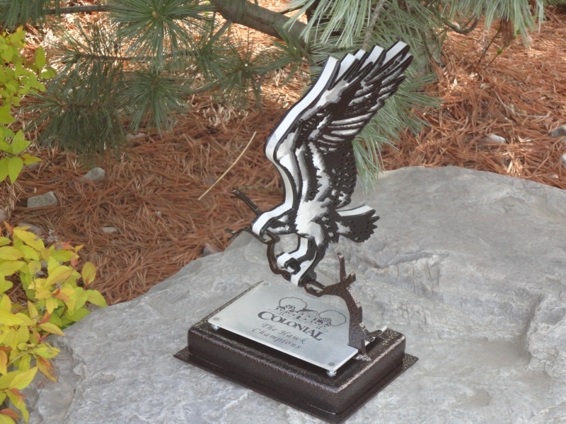 Member-Member Hawk Trophy -Colonial