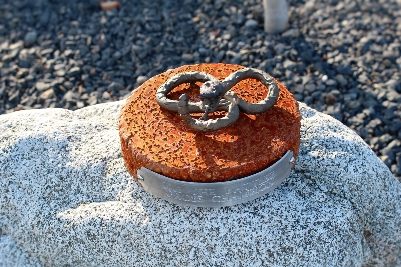 Rattlesnake Trophy -Desert Mountain