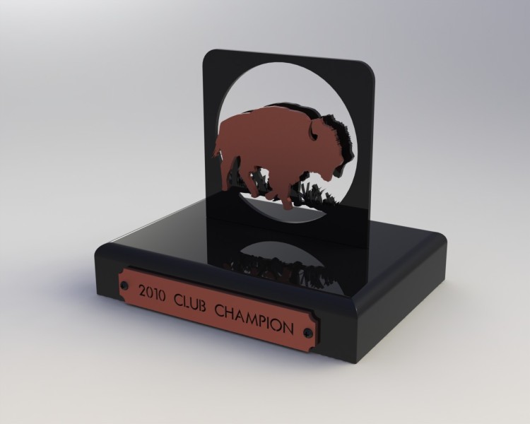 Custom Trophy