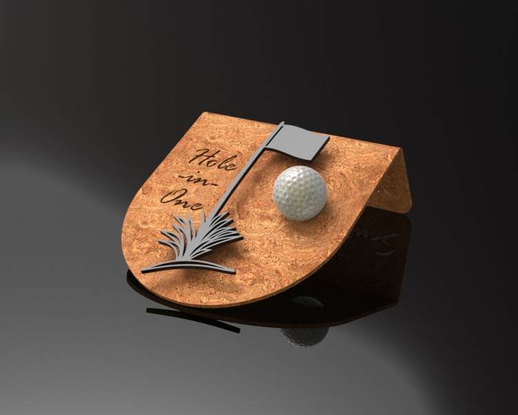 Hole In One Award