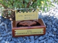 Gauntlet Champion Trophy -Champions Run