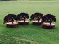 Shady Oaks Tree Trophies