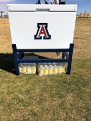 Insulated Cooler _University of Arizona