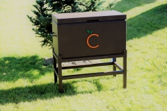 Insulated Cooler -The Citrus CLub