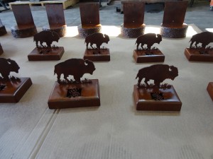 Herd of Buffalo Trophies