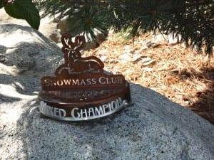 Member-Member Award -Snowmass