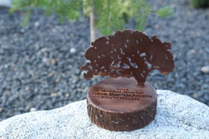 Balsam Mountain Preserve Trophy