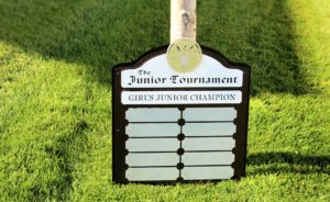 junior-perpetual-plaque-the-lakes