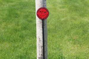 Mini Putting Green Flagsticks -Reynolds Lake