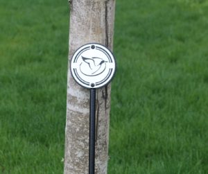 Putting Green Flagstick -Reqynolds Lake Oconee