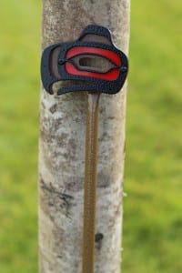 Small Flagstick -Sahale